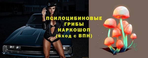 таблы Новодвинск