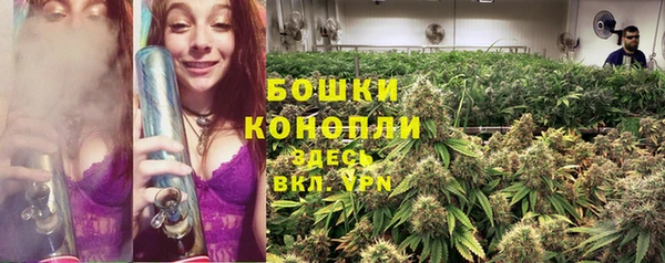 соль ск Новокубанск