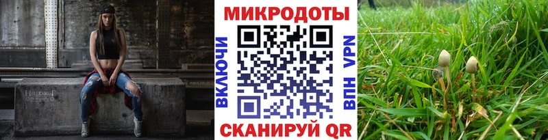 Псилоцибиновые грибы Cubensis  где купить   Красково 